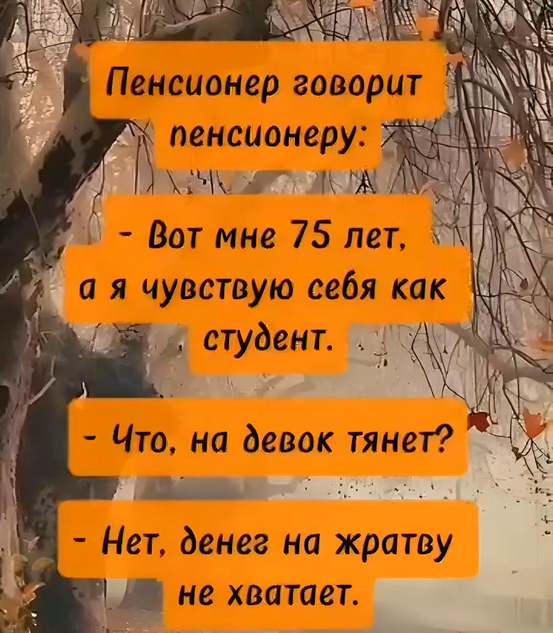 пенсионеру 3 М МЛ Вот мне 75 лет ая чувствую себя как студент К