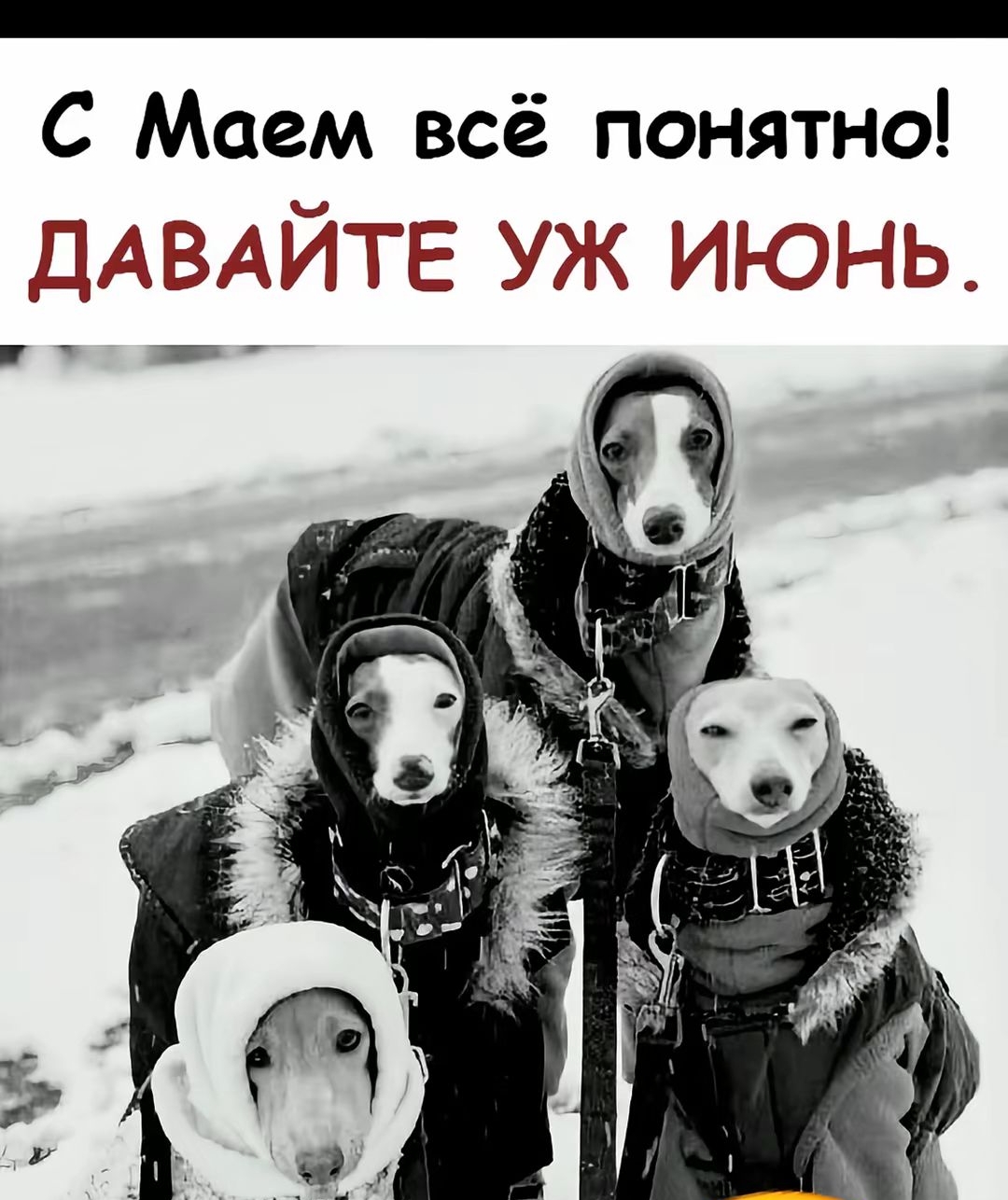 С Маем всё понятно! ДАВАЙТЕ УЖ ИЮНЬ.