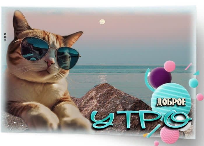 Доброе утро
