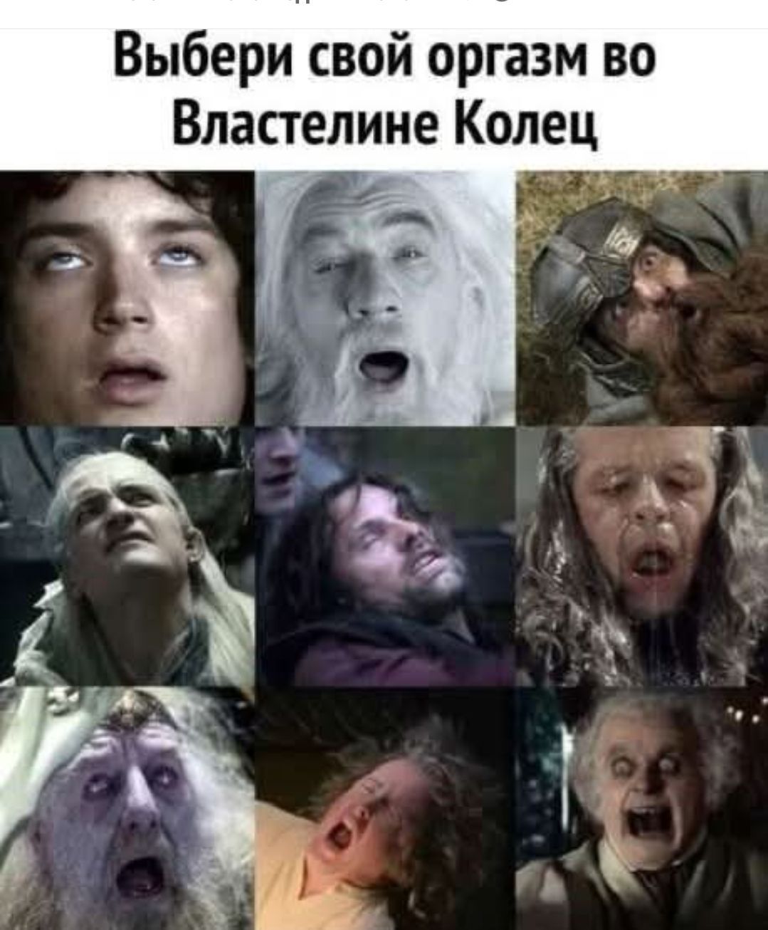 Выбери свой оргазм во Властелине Колец