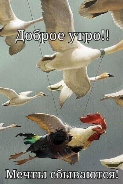 Доброе утро!! Мечты сбываются!