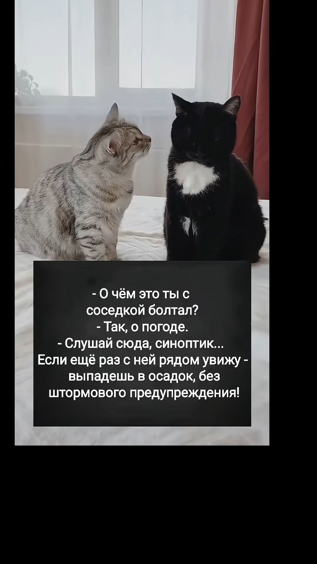 - О чём это ты с соседкой Bolтал? - Так, о погоде. - Слушай сюда, синоптик... Если ещё раз с ней рядом увижу - выпадешь в осадок, без штормового предупреждения!