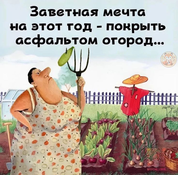 Заветная мечта на этот год - покрыть асфальтом огород...