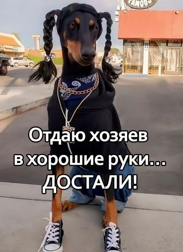 Отдаю хозяев в хорошие руки... Достали!