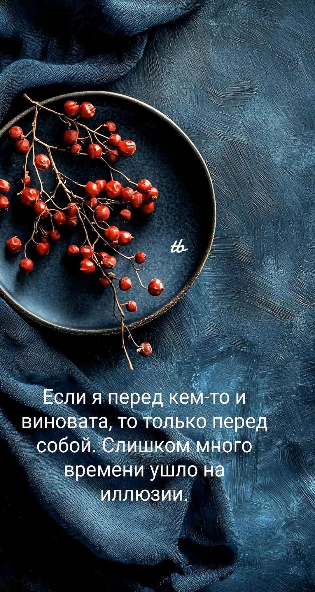 Если я перед кем-то и виновата, то только перед собой. Слишком много времени ушло на иллюзии.