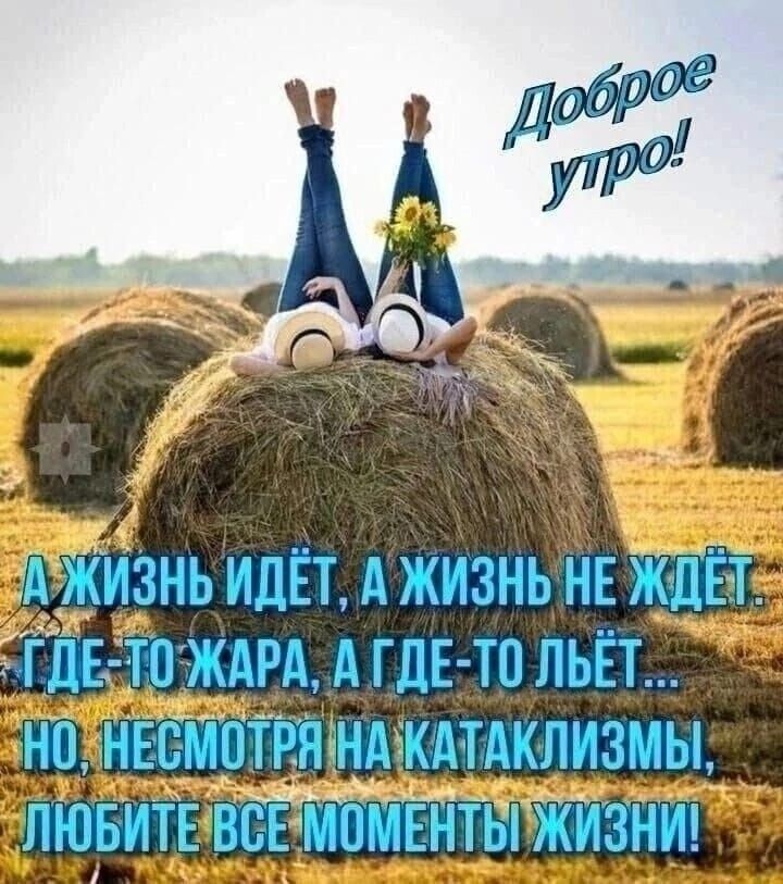 Доброе утро!

А жизнь идёт, а жизнь не ждёт. Где-то жара, а где-то лет... но, несмотря на катаклизмы, любите все моменты жизни!