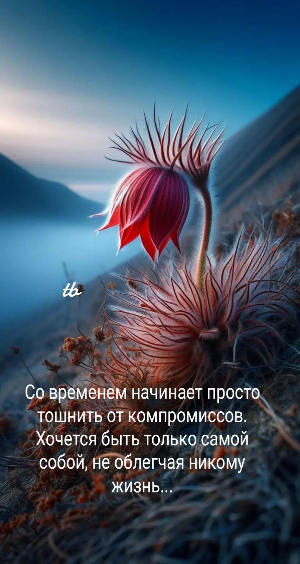Со временем начинает просто тошнить от компромиссов. Хотится быть только самой собой, не облегчая никому жизнь...