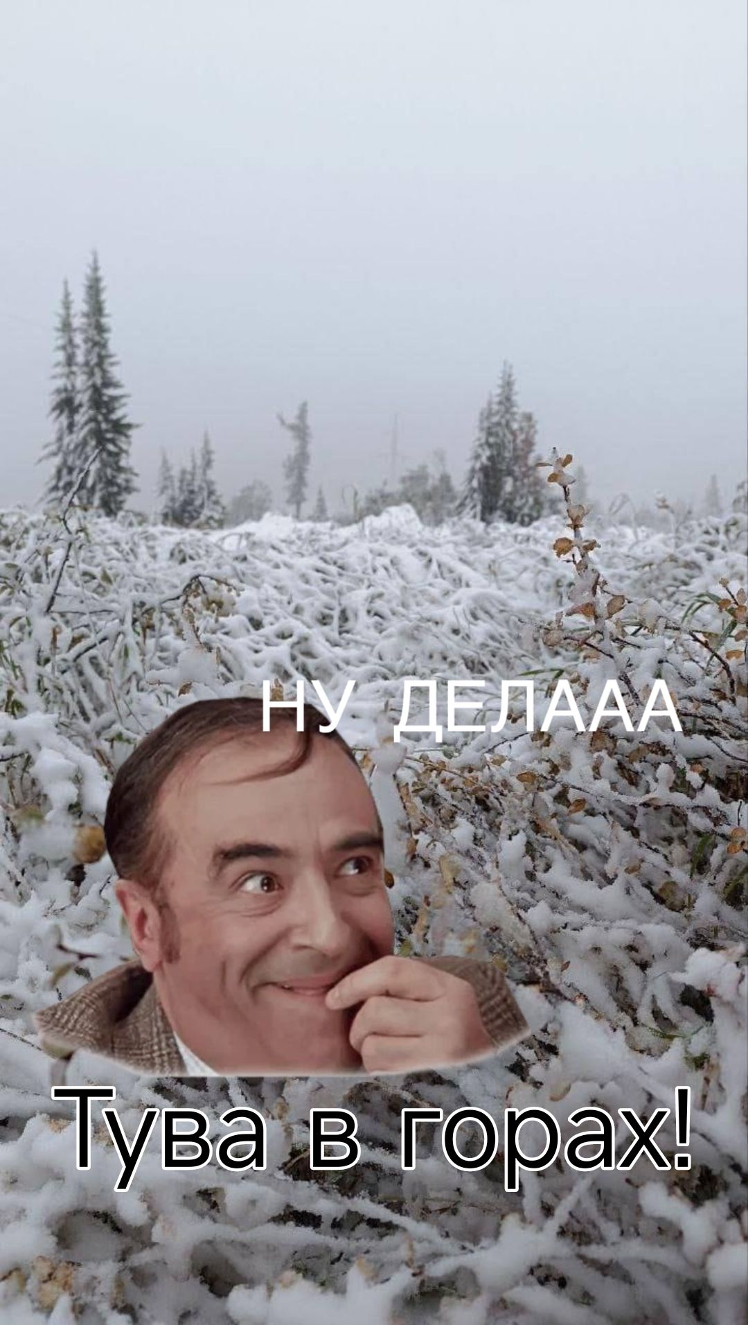 Тува в горах!