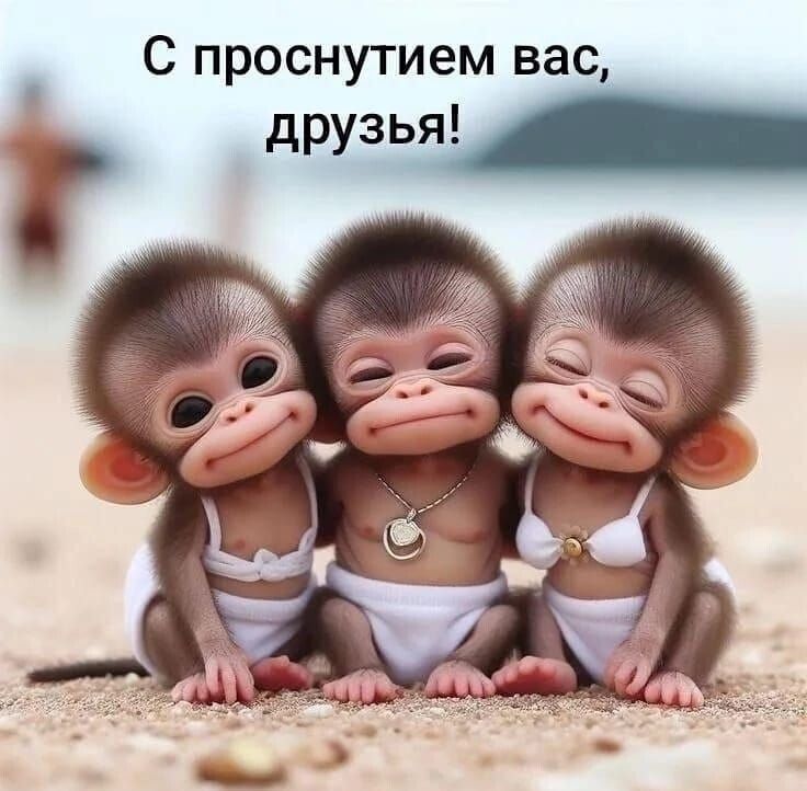 С проснУтием вас, друзья!