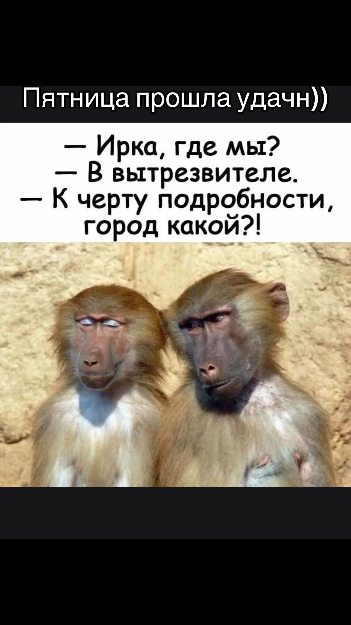 Пятница прошла удачно))
— Ирка, где мы?
— В вытрезвителе.
— К черту подробности, город какой?!