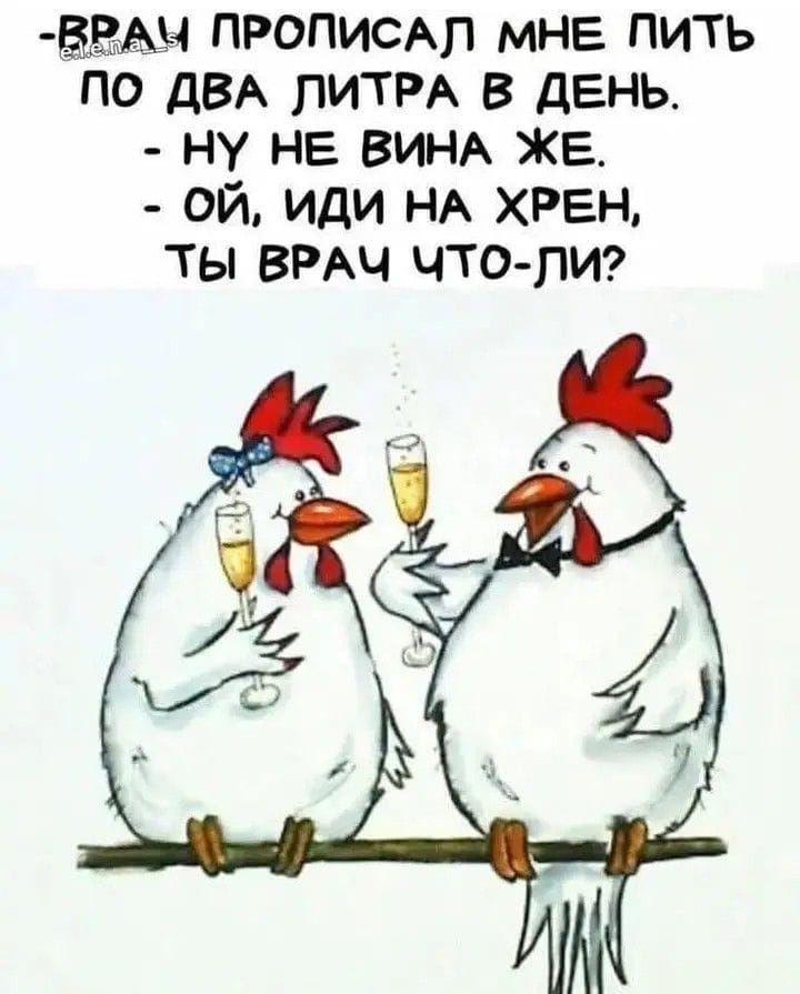 ВРАЧ ПРОПИСАЛ МНЕ ПИТЬ ПО ДВА ЛИТРА В ДЕНЬ. - НУ НЕ ВИНА ЖЕ. - ОЙ, ИДИ НА ХРЕН, ТЫ ВРАЧ ЧТО-ЛИ?