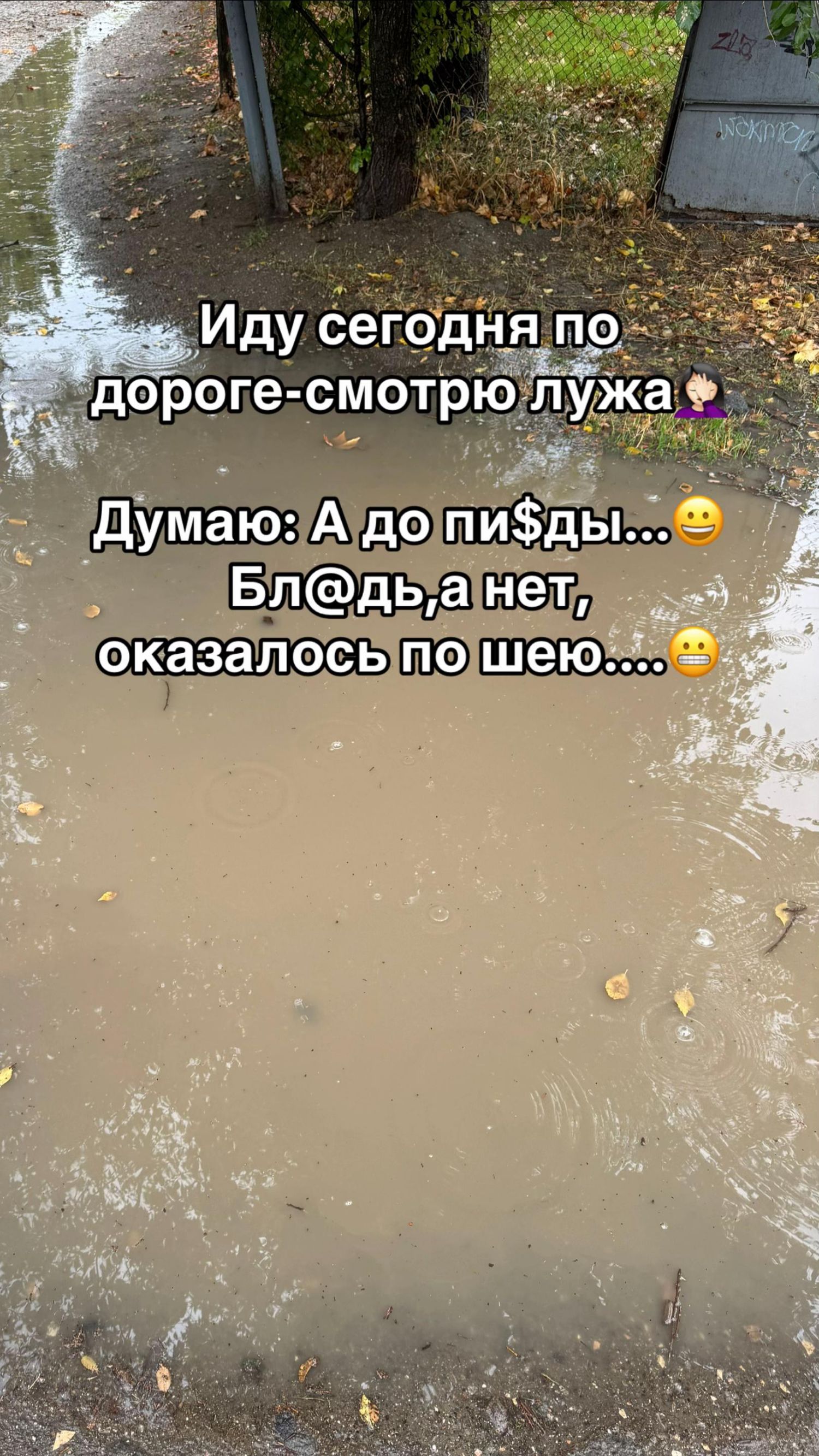 Иду сегодня по дороге-смотрю лужа.
Думаю: А до пи$ды...
Бл@дь, а нет, оказалось по шею....