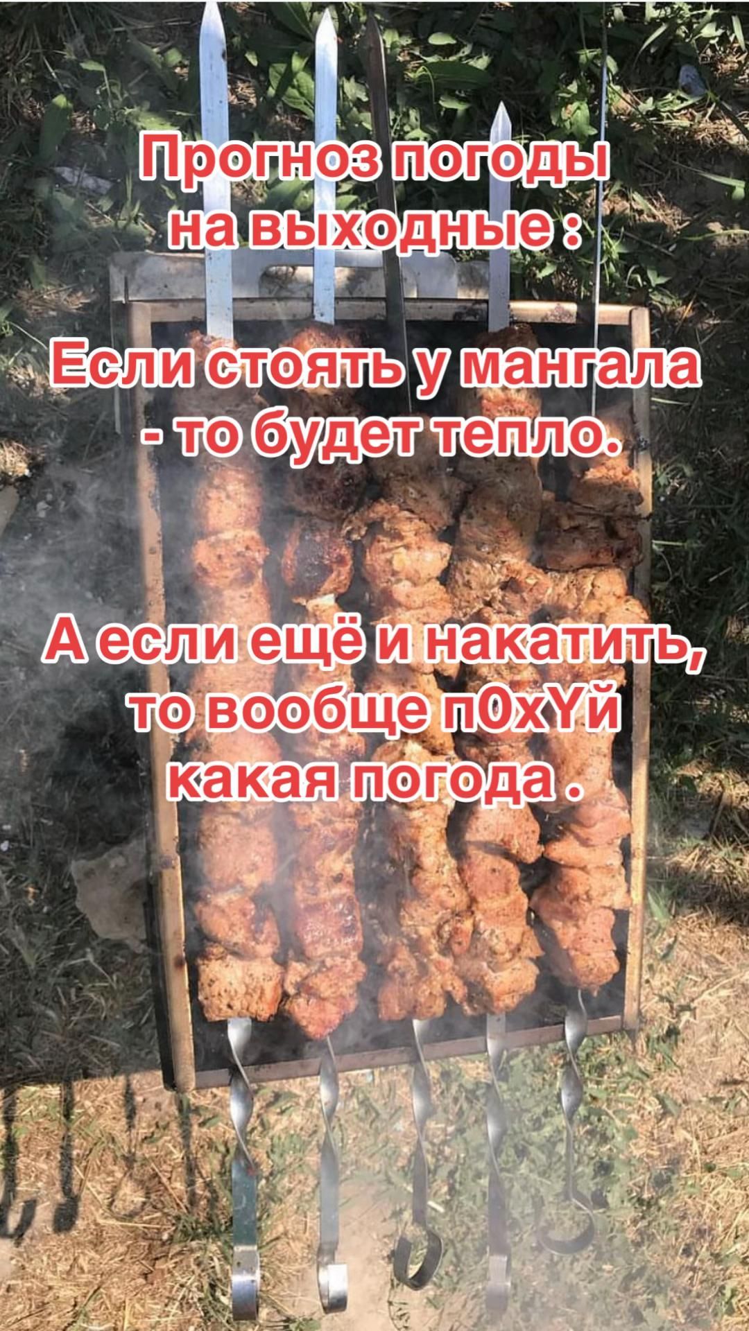 Прогноз погоды на выходные : Если стоять у мангала - то будет тепло. А если ещё и накатить, то вообще п0xУй какая погода.