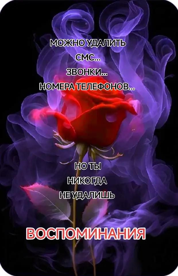 МОЖНО УДАЛИТЬ СМС... ЗВОНИКИ... НОМЕРА ТЕЛЕФОНОВ... НО ТЫ НИКОГДА НЕ УДАЛИШЬ ВОСПОМИНАНИЯ