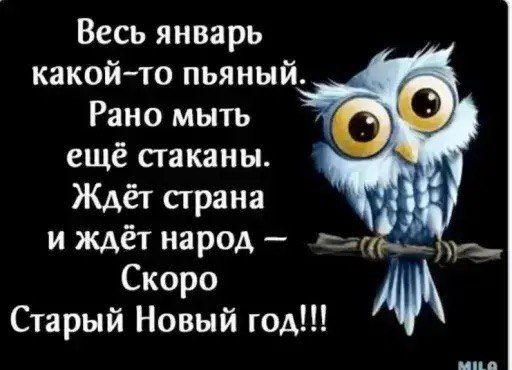 Весь январь какой-то пьяный. Рано мыть ещё стаканы. Ждёт страна и ждёт народ — Скоро Старый Новый год!!!
