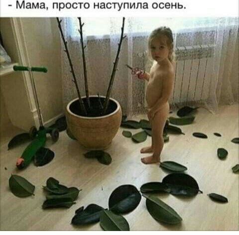 Мама ПРОСТО НЭСТУПИПЗ ОСЕНЬ