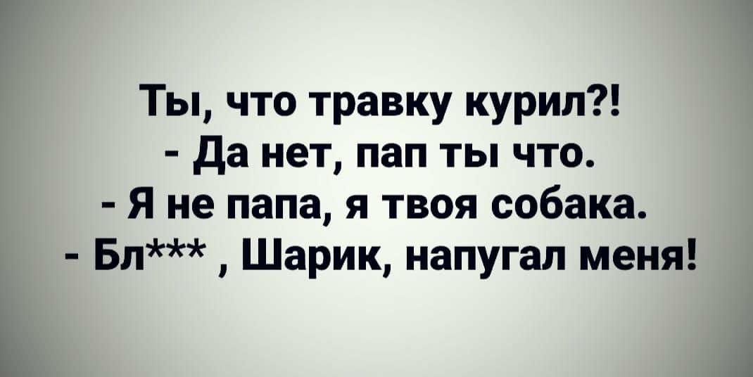 Ты что травку курил да нет пап ты что Я не папа я твоя собака Бл Шарик напугал меня