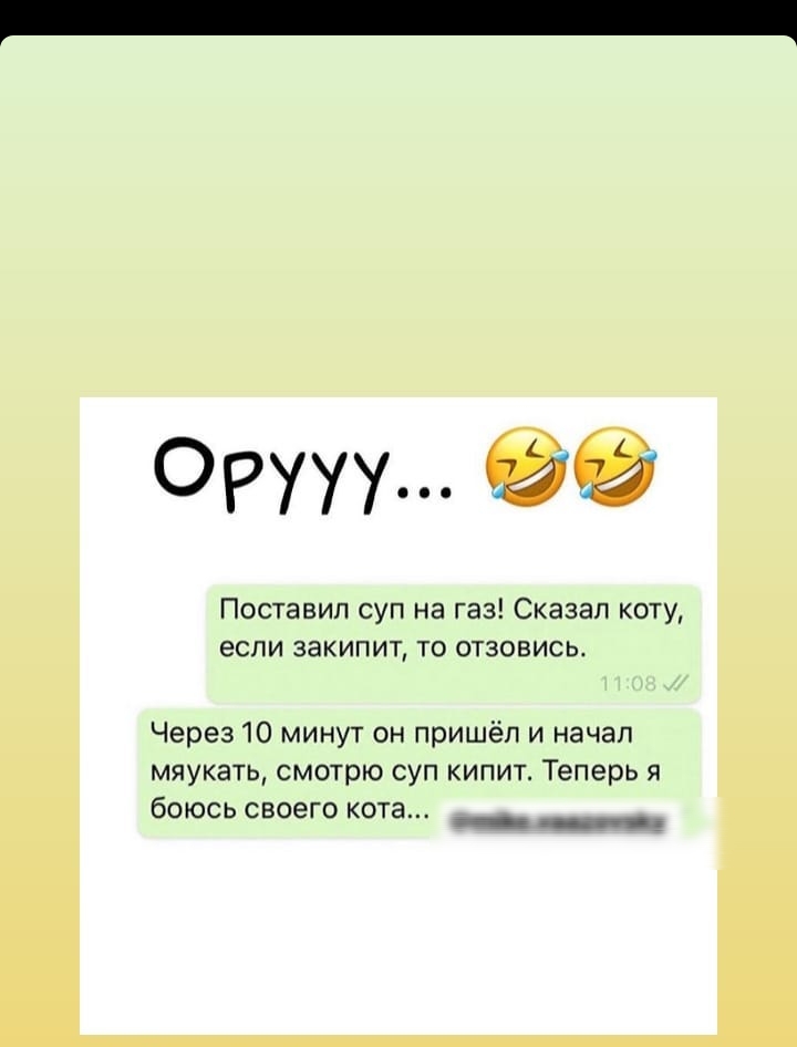 Орууу Поставил суп на газ Сказал коту если закипит то отзовись Через 10 минут он пришёл и начал мяукать смотрю суп кипит Теперь я бОЮСЬ СВОЕГО кота