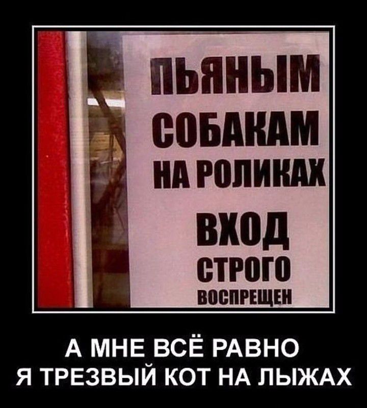 пББЕЬм помним вход строго А мнв_всЁ РАВНО я трезвыи кот НА ЛЫЖАХ