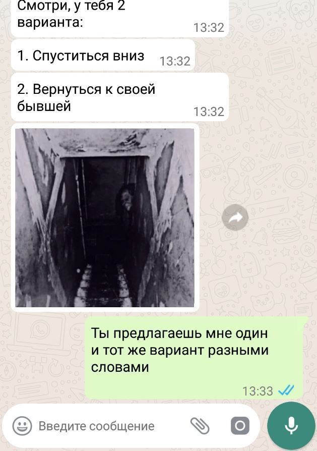 Смотри у тебя 2 варианта 1332 1 Спуститься вниз 1332 2 Вернуться к своей бывшей 1332 нгЁ ТЫ предлагаешь мне ОДИН И ТОТ же вариант разными СЛОВЗМИ 1333 Введитесообщение