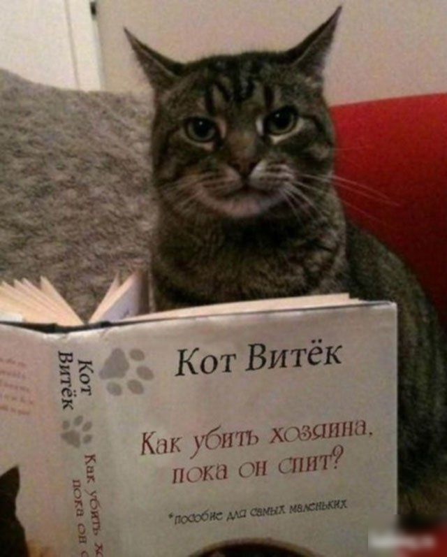 Кхм бпп хщдзцшш ип спит