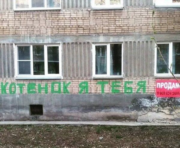 чдді__ципчі _
