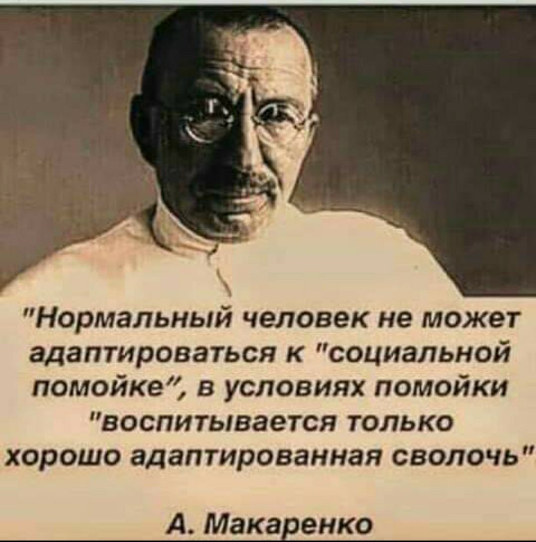 Нормальный человек не может адаптироваться к социальной помойке в условиях помойки ВОСПИТЬВЭЭТСЯ ТОЛЬКО хорошо адаптированная сволочь А Макаренко