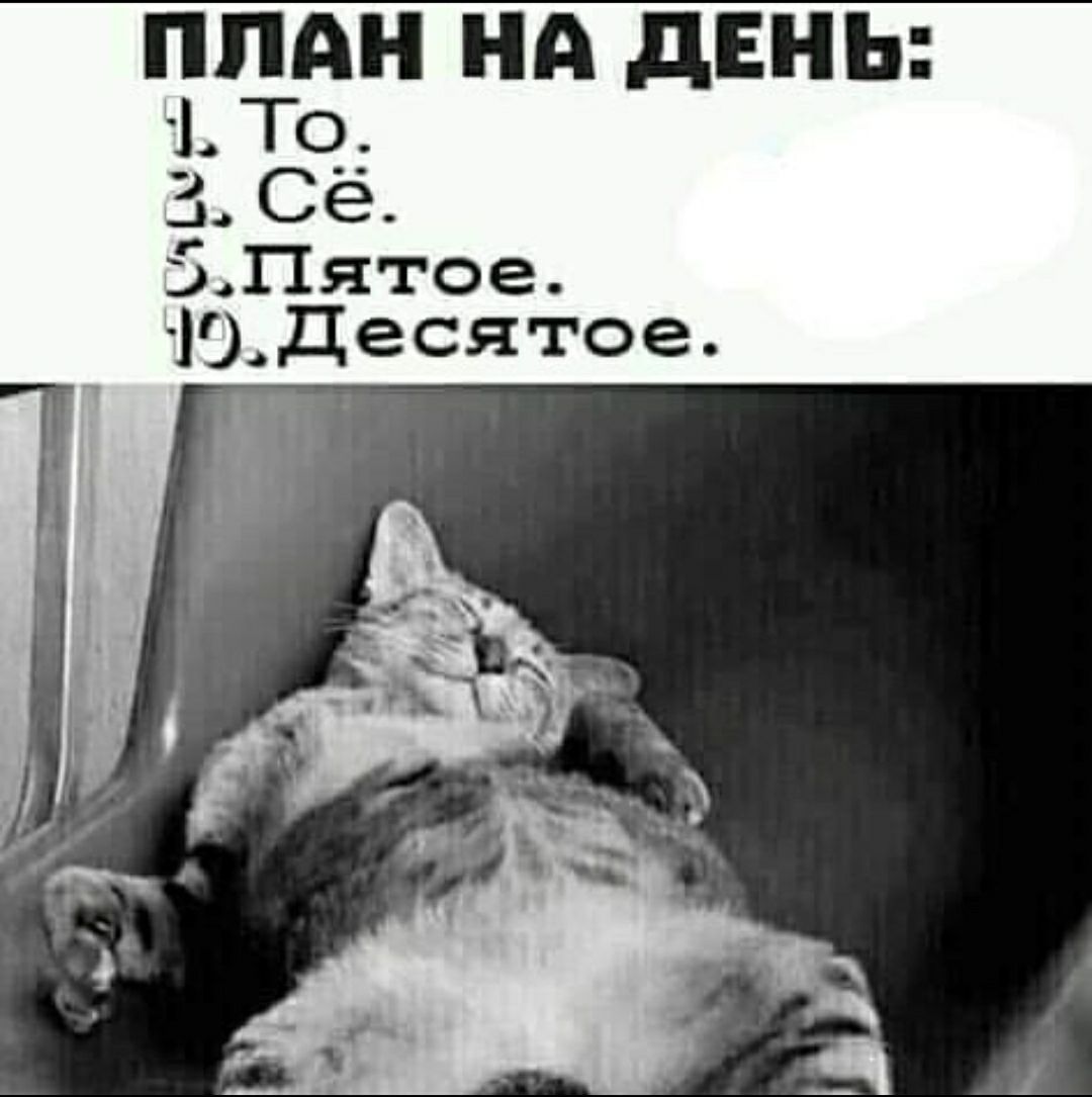 ПЛАН НА дЕНЬ То Сё ЗПятое Ю_Десятое