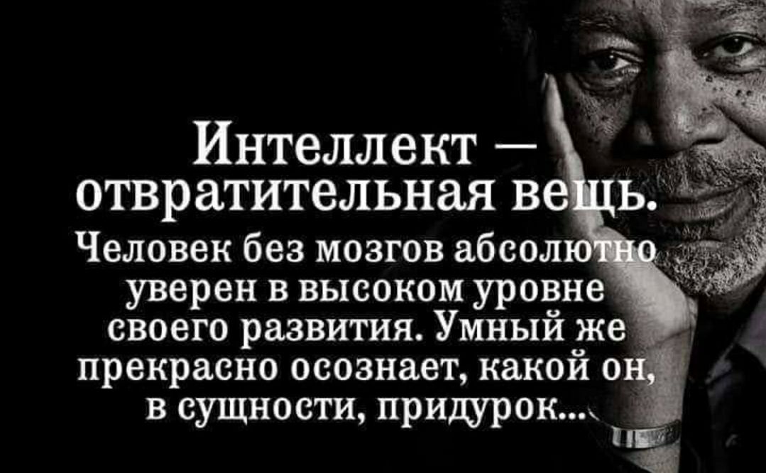 Абсолютно знаю. Провокация цитаты афоризмы.