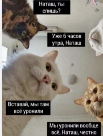 Наташ ы спишь7 Уже 6 часов утра Начаш 4 Всчава мы им А все уронили И Мыуроиили вообще не Наташ често