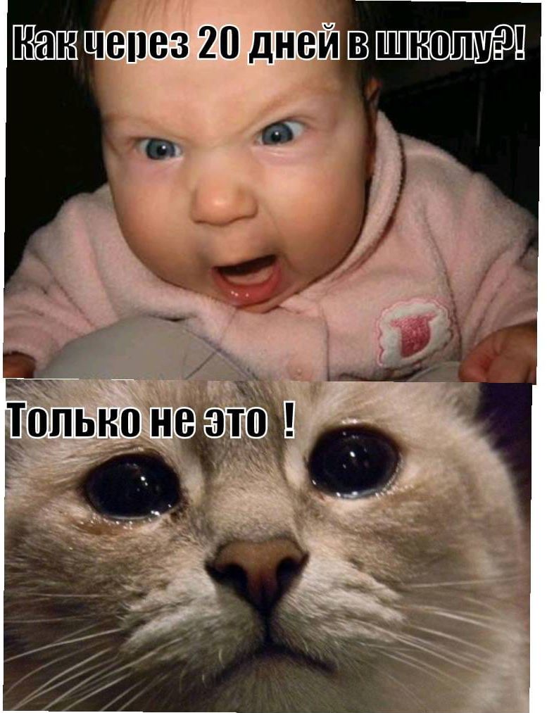 Ычепез 20 днейвшиоші 4 М Ж Эф Т Ёопыю неги
