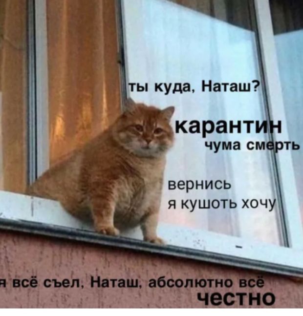 сть вернись я кушоть хочу