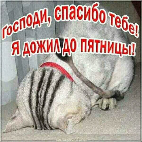 г м ! Я аожиъ пятницыг