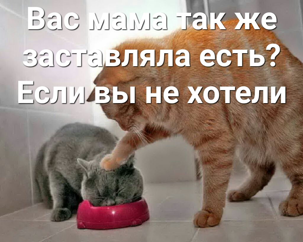 ВЭС МЭЗГ ыак же зас гы ляЛа есть Ь не хотели