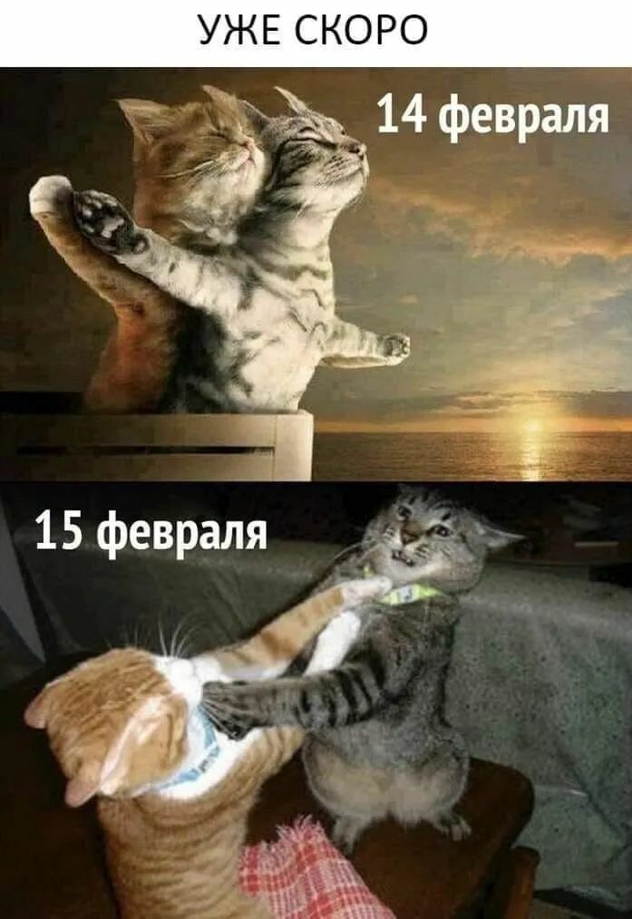 УЖЕ СКОРО а 14 февраля г 3 Ч