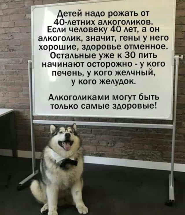 Детей надо рожать от 4О Аетних алкоголиков Есди чеАовеку 40 дет а он адкогодик значит гены у него хорошие здоровье отменное Остальные уже к 30 пить начинают осторожно у кого печень у кого жеАчный у кого жедудок Адкогодиками могут быть томко самые здоровые