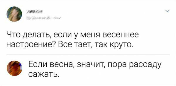 Что делать если у меня весеннее настроение Все тает так круто Если весна значит пора рассаду сажать