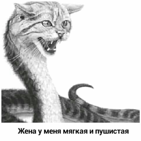 Жека у МЕНЯ мягкая И пушистая