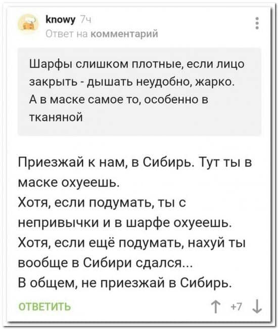 Кпошу комментарии Шарфы СЛИШКОМ ПЛОТНЫЕ если ЛИЦО закрыть дышать Неудобно жарко А в маске самое то особенно в тканяной Приезжай к нам в Сибирь Тут ты в маске охуеешь Хотя если подумать ты с непривычки и в шарфе охуеешь Хотя если ещё подумать нахуй ты вообще в Сибири сдался В общем не приезжай в Сибирь отвгтить Т 7 1
