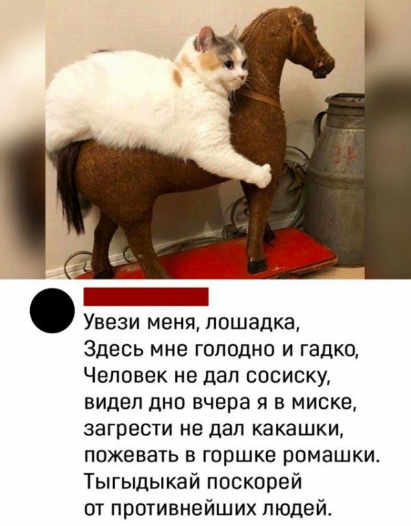 Увези меня машина навсегда