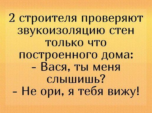2 строителя проверяют звукоизоляцию стен только что построенного дома Вася ты меня слышишь Не ори я тебя вижу