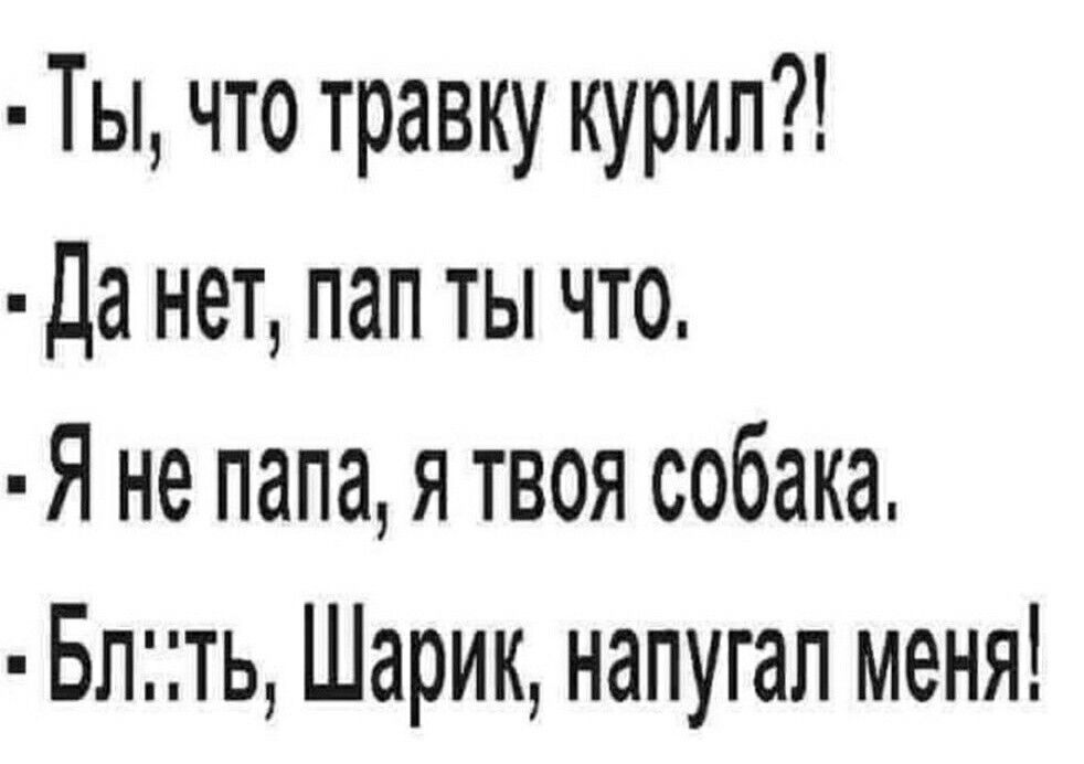Ты что травку курил Да нет пап ты что Я не папа я твоя собака Блть Шарик напугал меня
