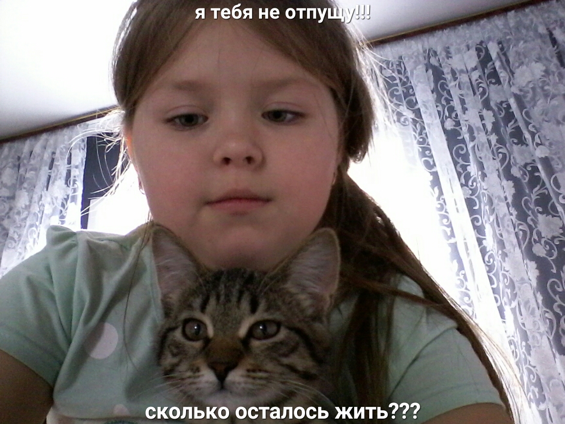 я тебя не отпу Ну сколько осталось жить