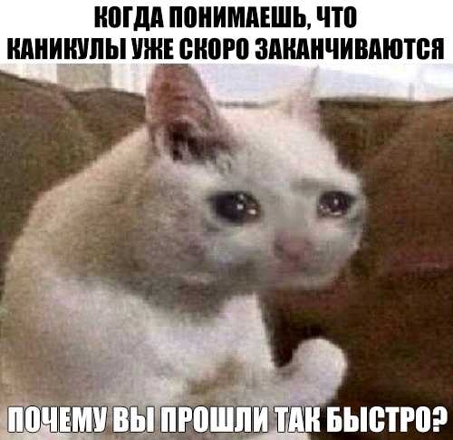 НПГдд ППНИМАЕШЬ ПП КАНИКУЛЫ УЖЕ ШШШ ЗАШШЧИВАЮТВП БЬЮПП