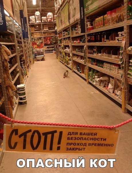 7 ШАССЁБЁЫЙ т