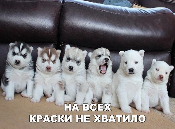 К ии