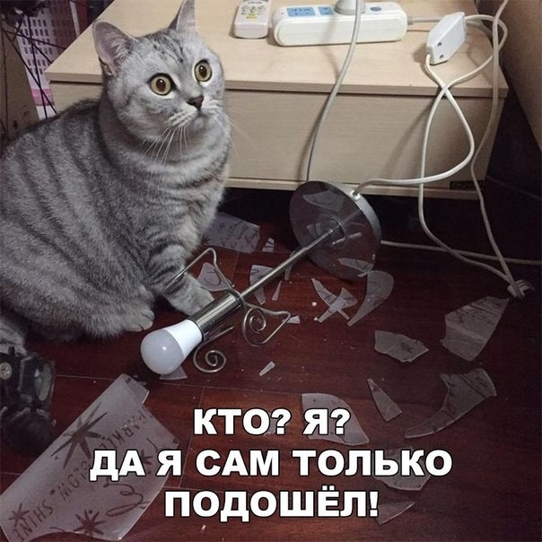 д _ кто 33 дАя им только на _ п9дощЁтё