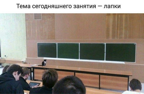 Тема сегодняшнего ЗЭНЯТИЯ _ папки