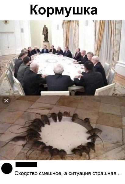 Сходство смешное а ситуация страшная