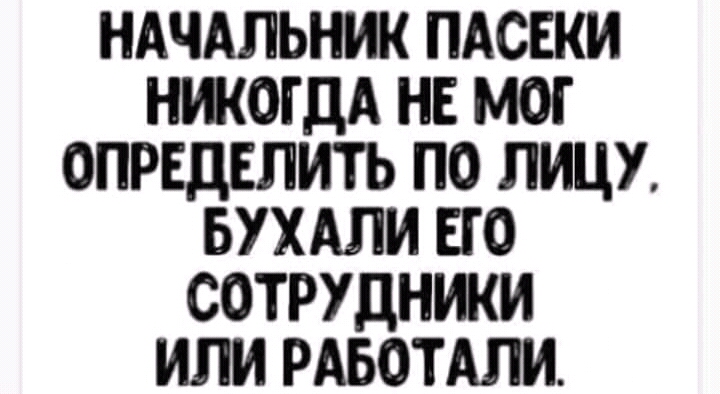 НАЧАЛЬНИК ПАСЕКИ НЖОГДА НЕ МОГ ОПРЕДЕЛИТЬ ПО ЛИЦУ БУХАЛИ ЕГО СОТРУДНИКИ ИЛИ РАБОТАЛИ